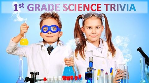 1St Grade Trivia Quiz