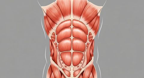 Abdominal Quiz