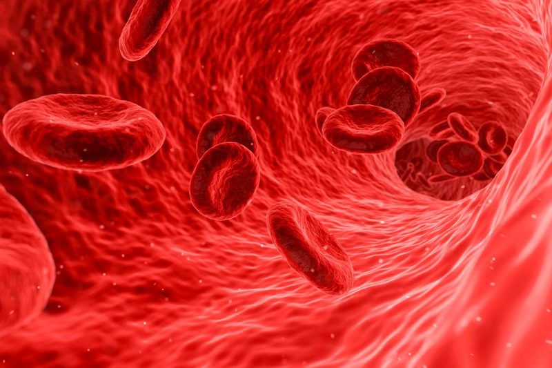 Anemia Quiz
