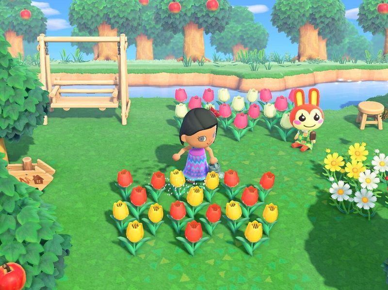 Animal Crossing Quiz