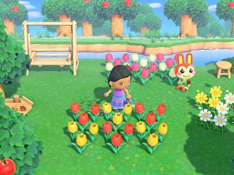 Animal Crossing Quiz