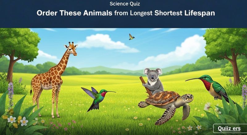 Order These Animals from Longest to Shortest Lifespan