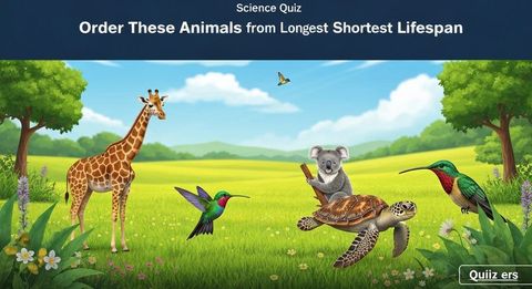 Order These Animals from Longest to Shortest Lifespan
