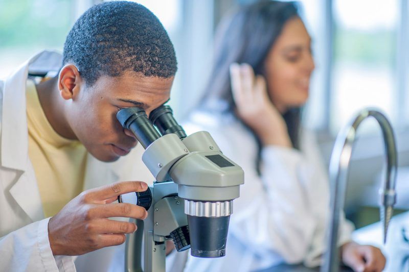 Ap Biology Quiz