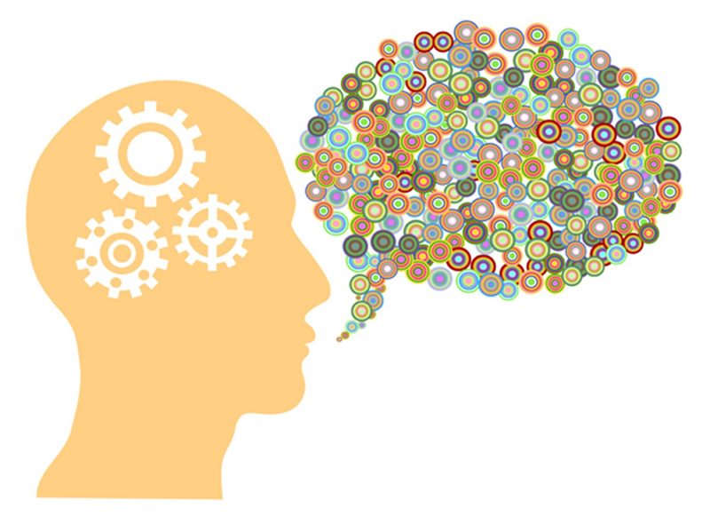 Aphasia Quiz
