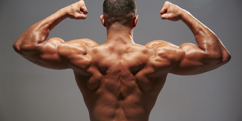 Back Muscles Quiz