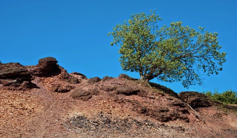 Bing Mountains Quiz