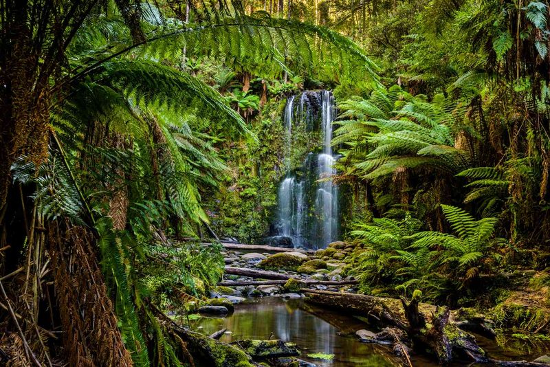 Biomes Quiz