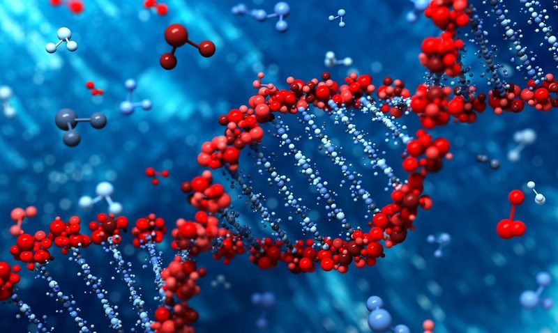 Biomolecules Quiz