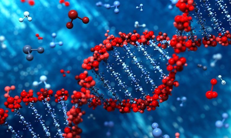 Biomolecules Quiz