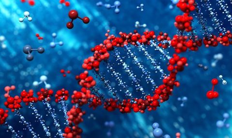 Biomolecules Quiz