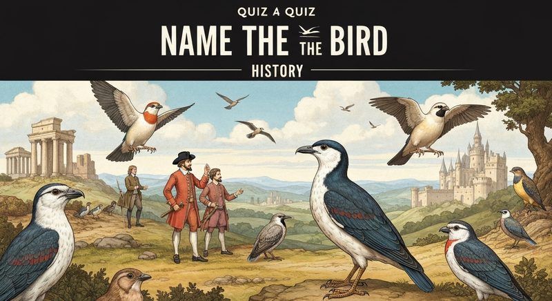 Name the Bird