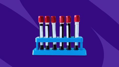 Blood Type Quiz