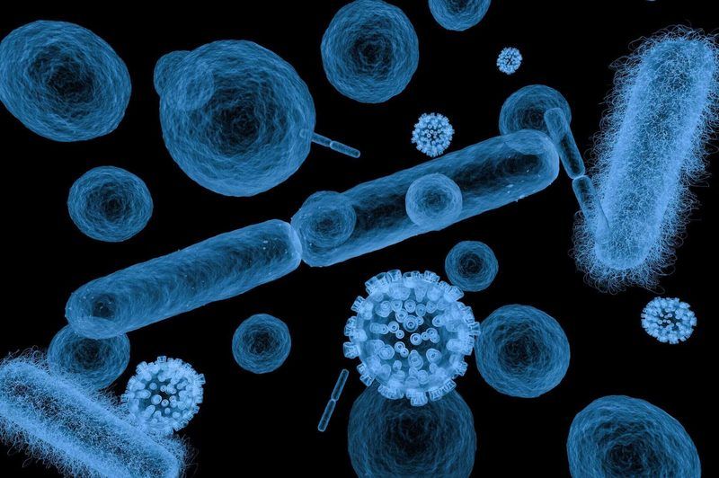 Bloodborne Pathogens Quiz