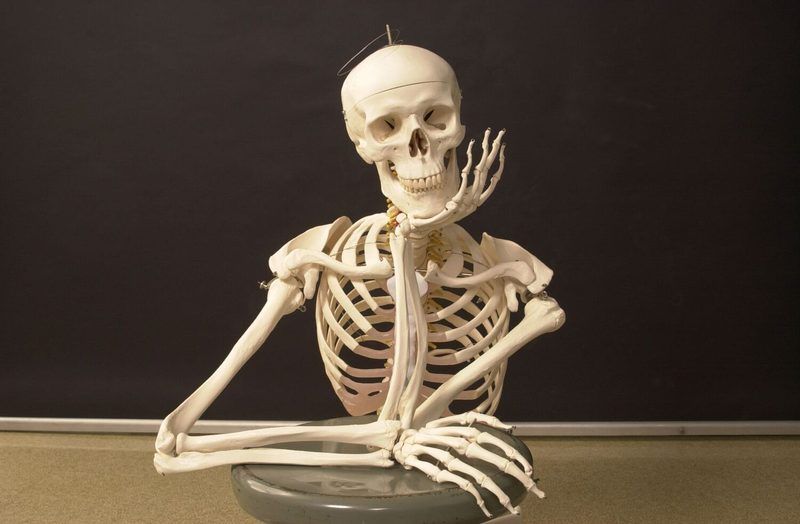 Bone Quiz