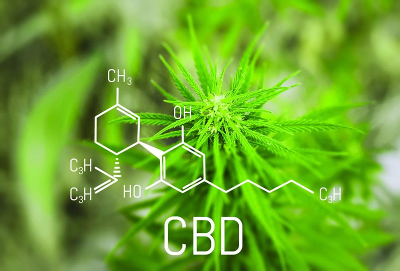 Cannabinoid Hyperemesis Syndrome Quiz