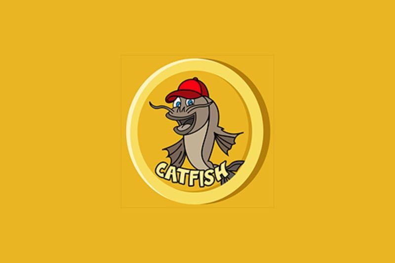 Catfish Crypto Coin Quiz