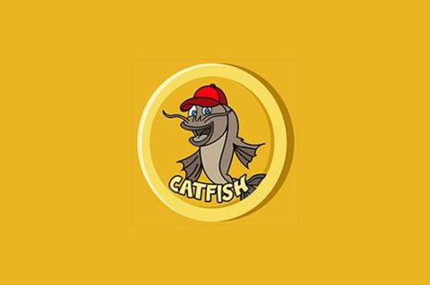 Catfish Crypto Coin Quiz
