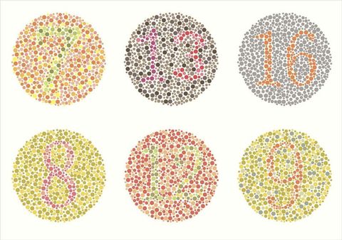 Color Blind Test Quiz
