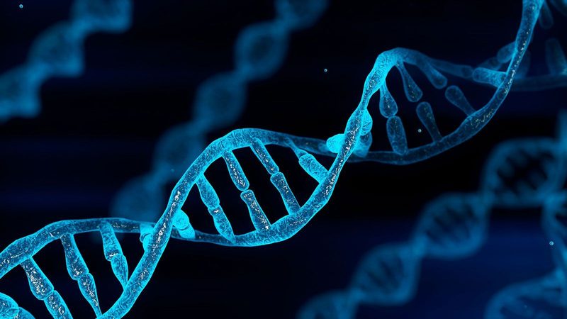 Dna Quiz