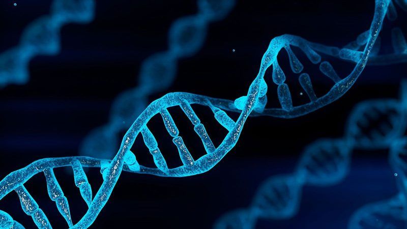 Dna Quiz