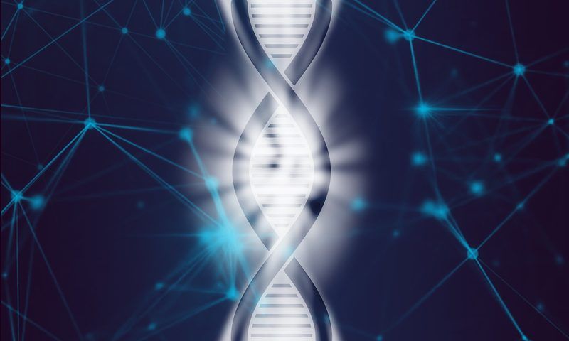 Dna Test Online Quiz