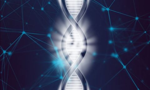 Dna Test Online Quiz