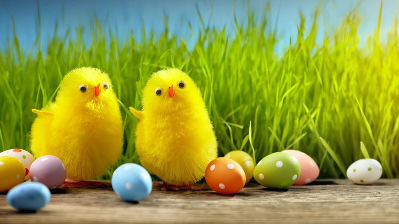 Easter Quiz