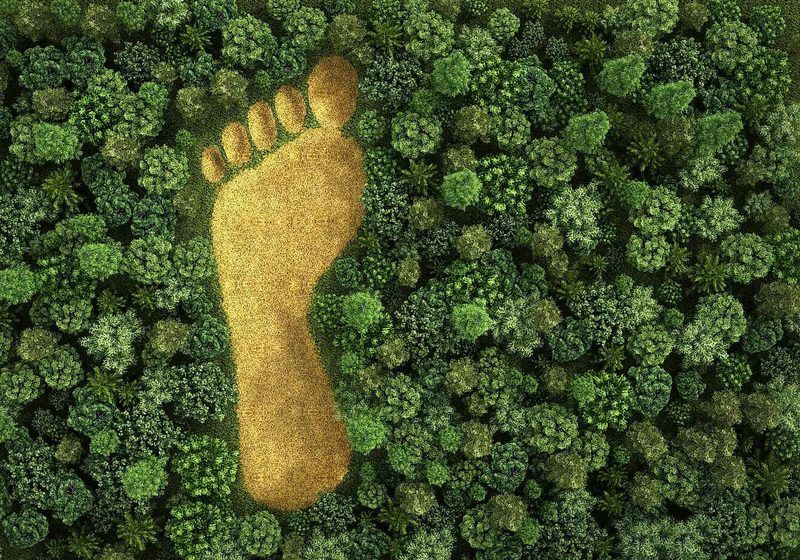 Ecological Footprint Quiz