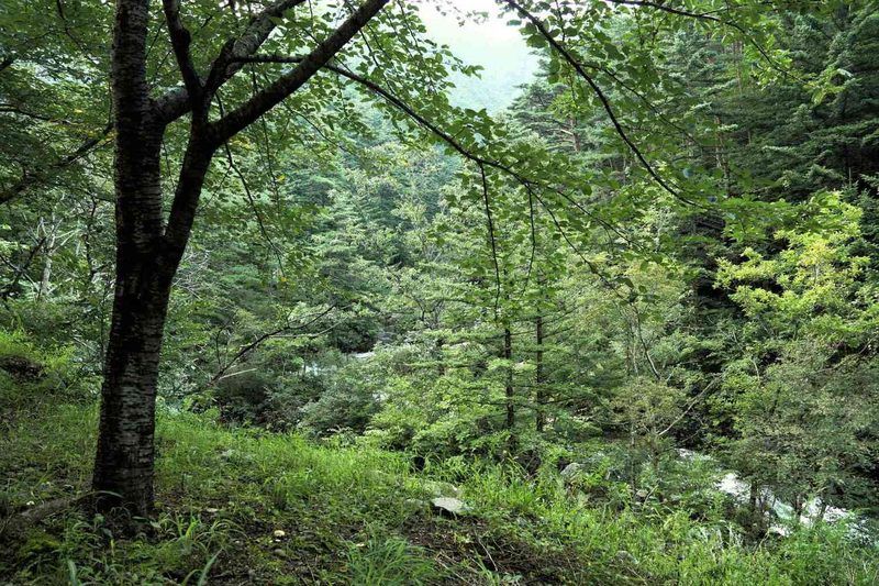 Ecosystem Quiz