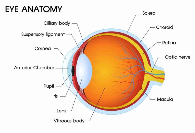 Eye Diagram Quiz