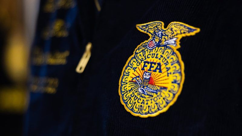 Ffa Quiz
