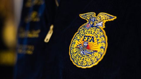 Ffa Quiz