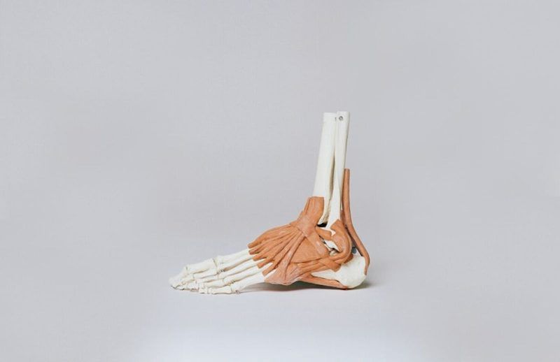 Foot Bones Quiz