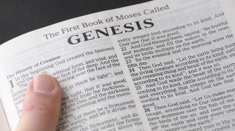 Genesis Quiz