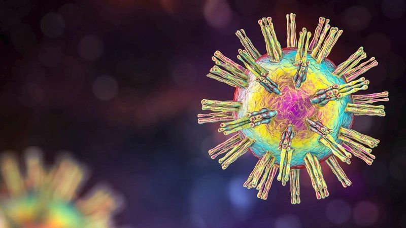 Herpes Quiz