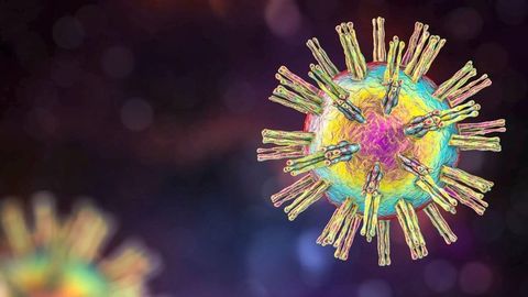 Herpes Quiz