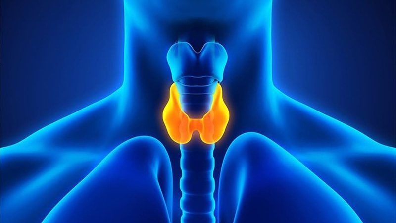 Hypothyroidism Quiz