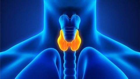 Hypothyroidism Quiz