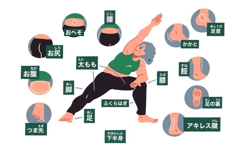 Japanese Vocabulary Quiz