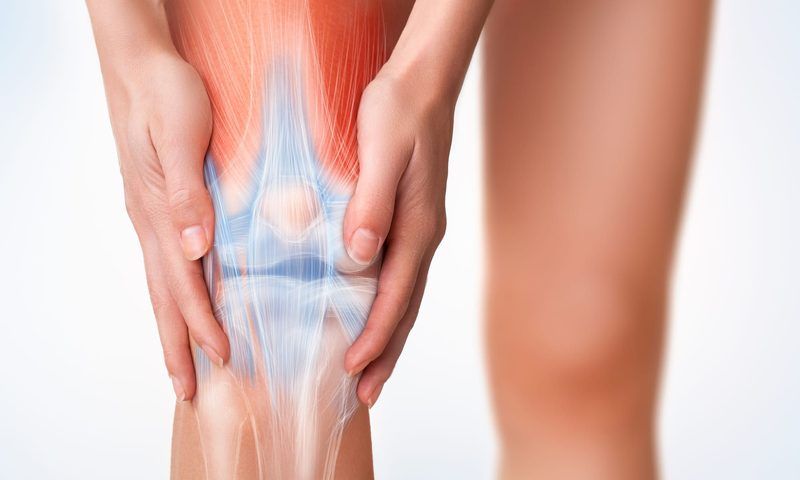 Knee Anatomy Quiz