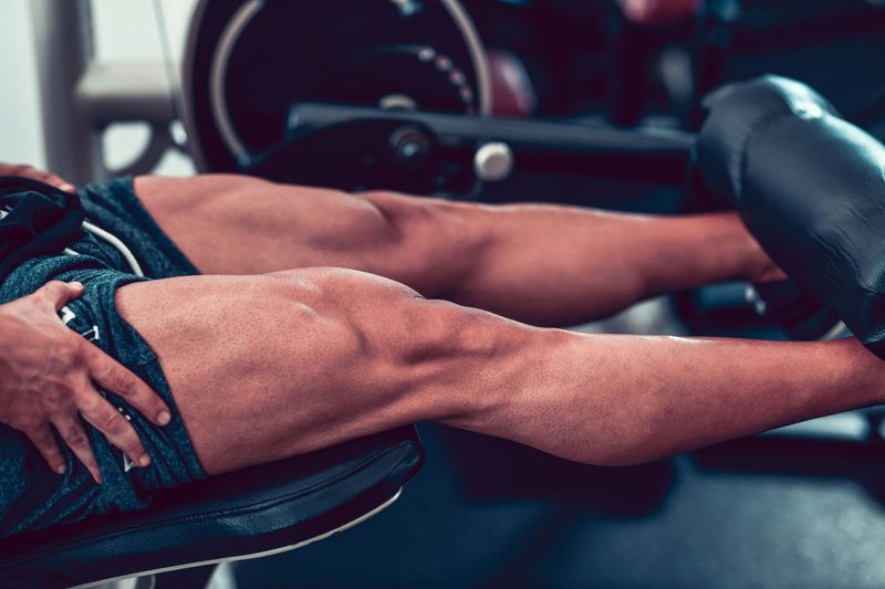Leg Muscles Quiz