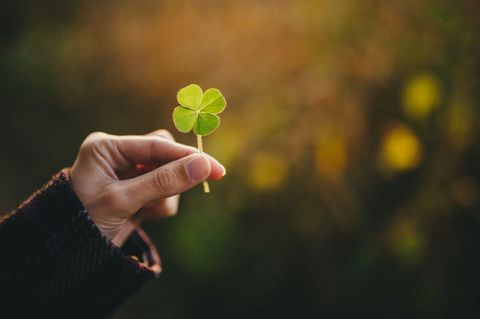 Luck Quiz