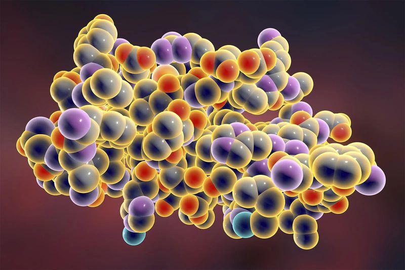 Macromolecules Quiz