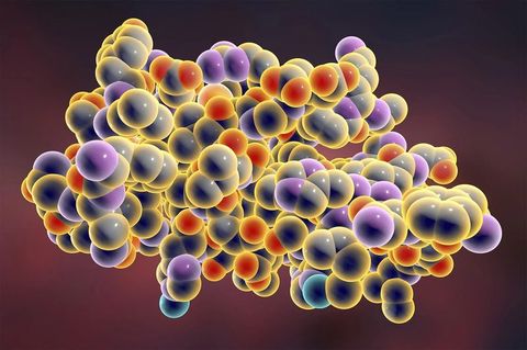 Macromolecules Quiz