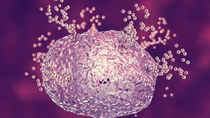 Mast Cell Activation Syndrome Quiz