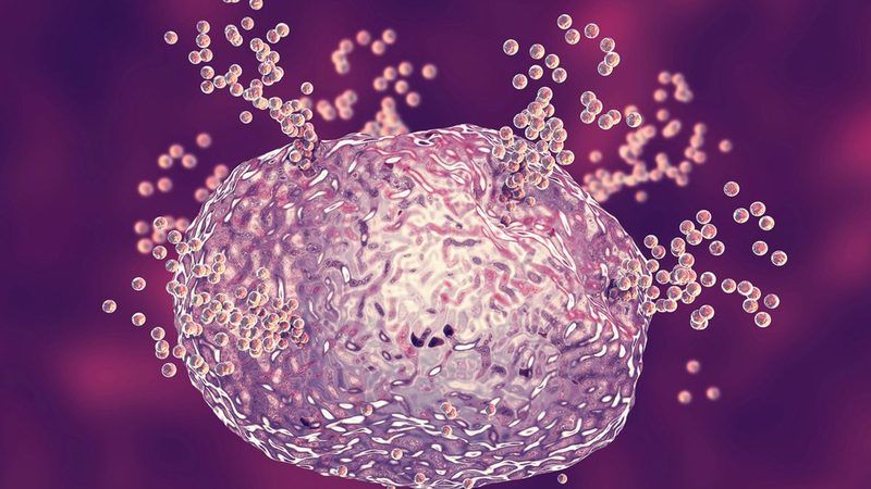 Mast Cell Activation Syndrome Quiz