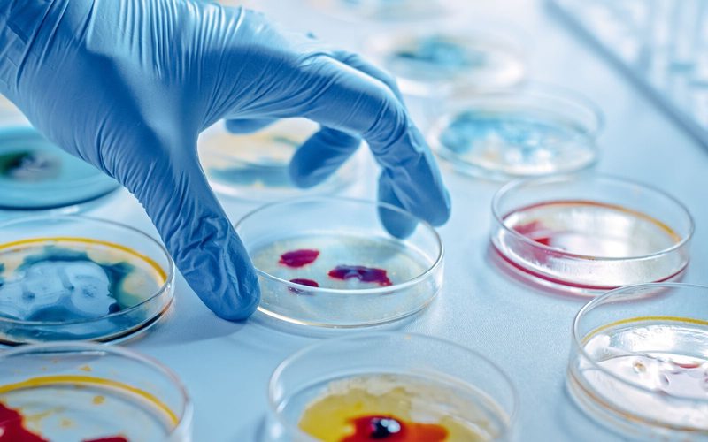 Microbiology Quiz
