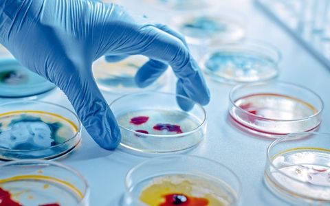 Microbiology Quiz