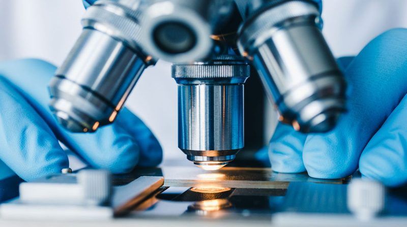Microscope Quiz